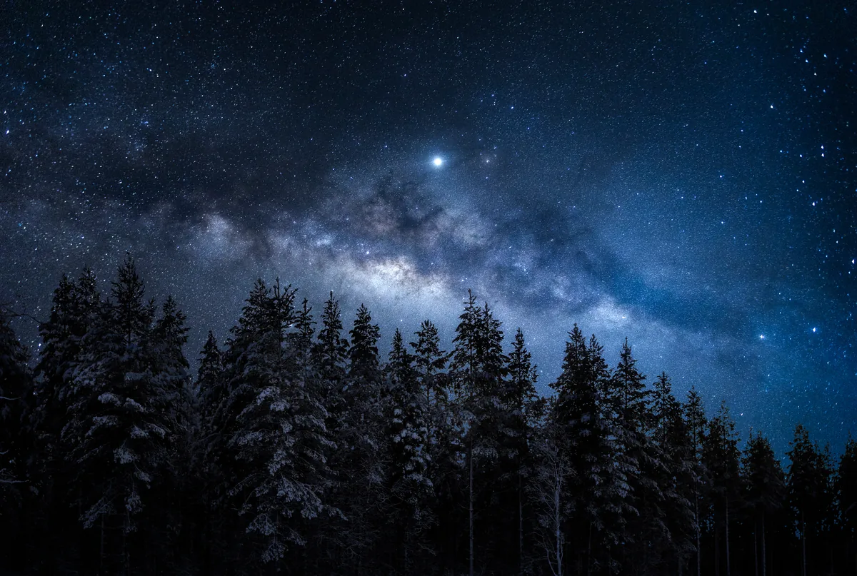 Kaamos, the Milky Way over a snow-covered forest in Rovaniemi, Finland